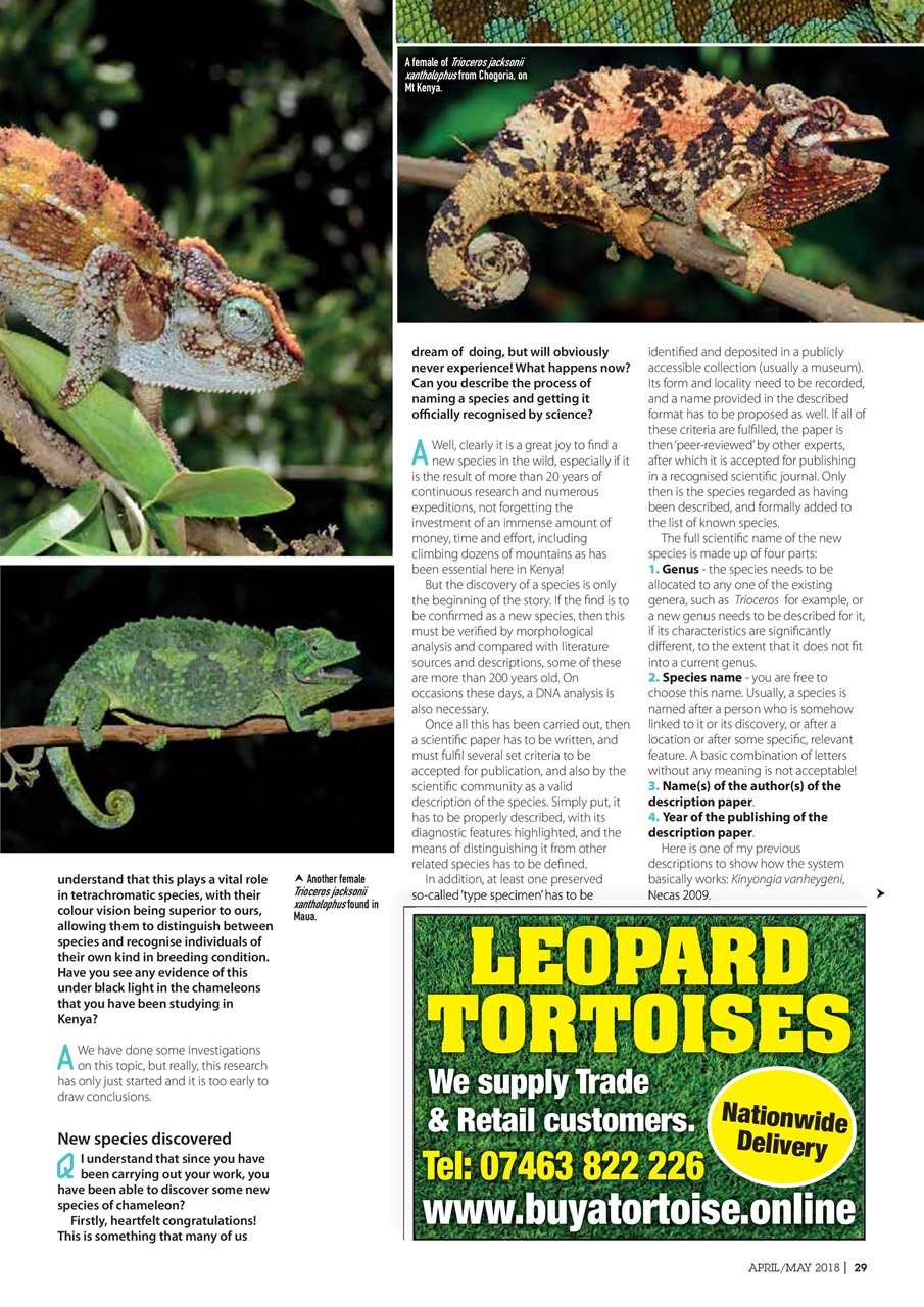 Practical Reptile Keeping Preview Pages