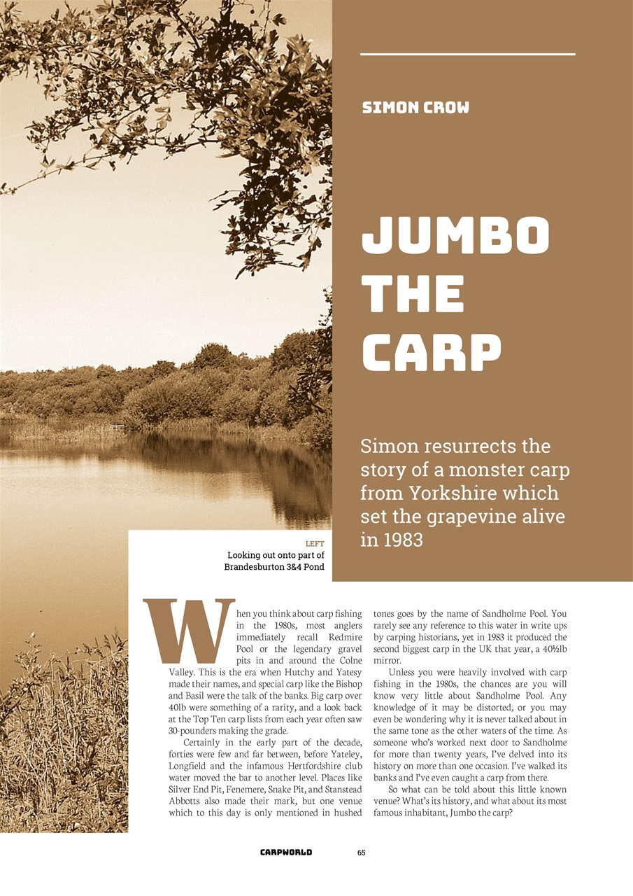 Carpworld Preview Pages