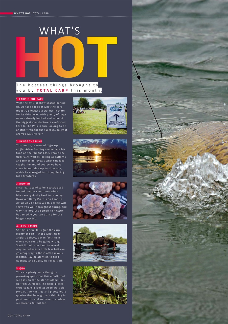 Total Carp Preview Pages