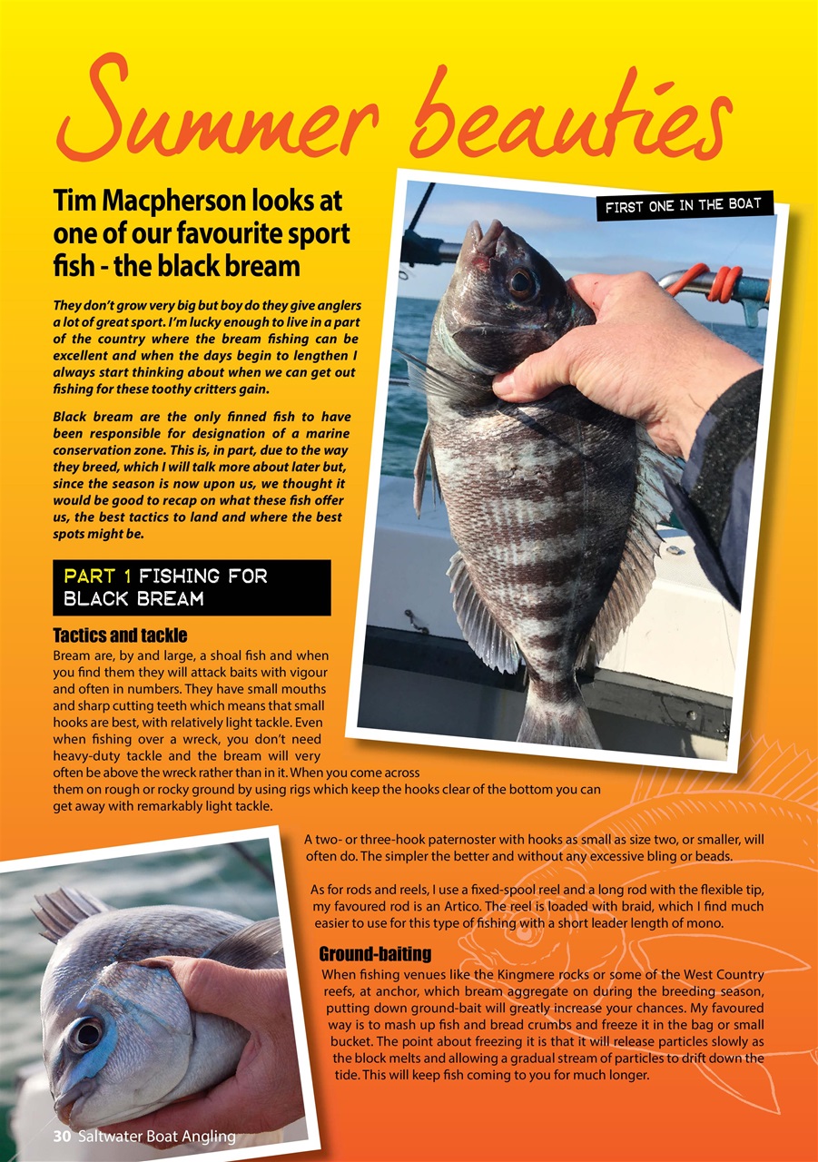 Saltwater Boat Angling Preview Pages