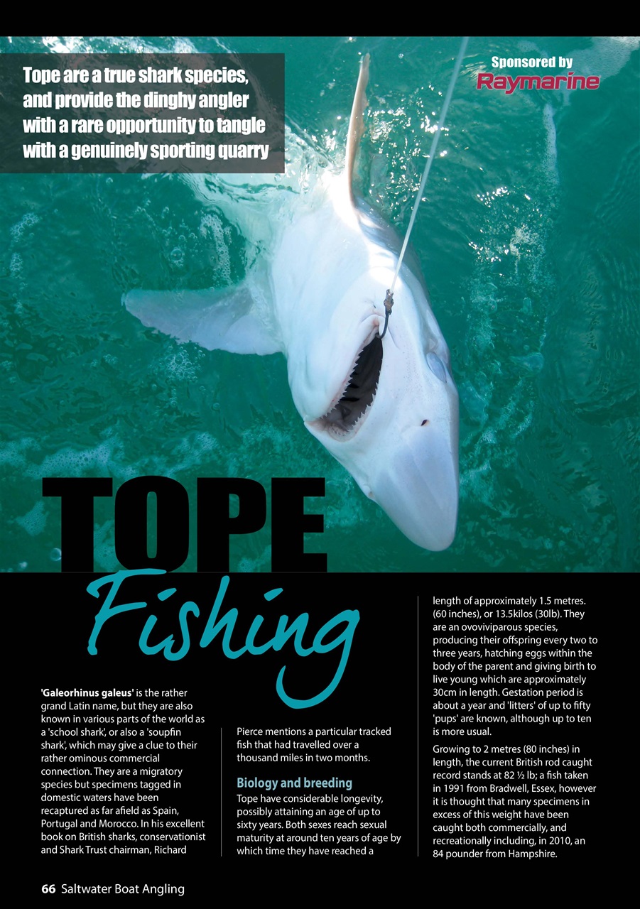 Saltwater Boat Angling Preview Pages