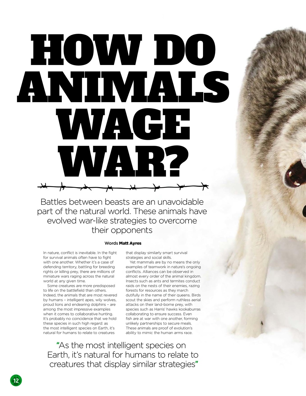 World of Animals Preview Pages