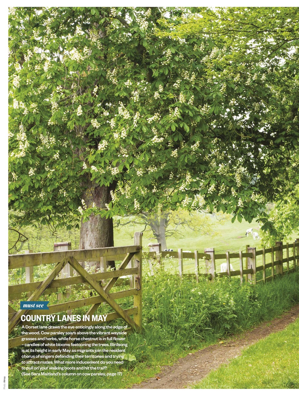 BBC Countryfile Magazine Preview Pages