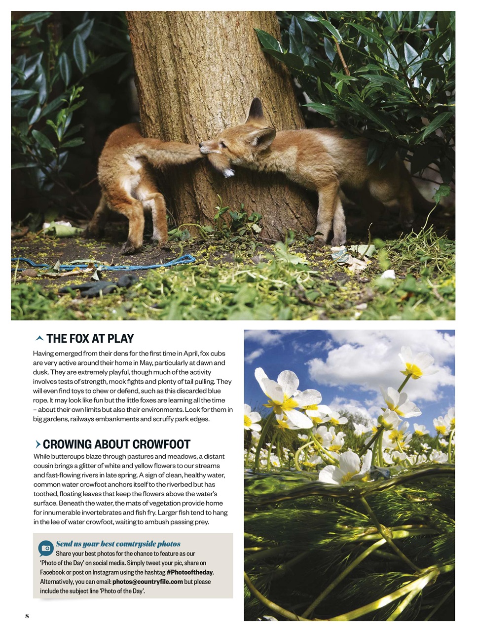 BBC Countryfile Magazine Preview Pages
