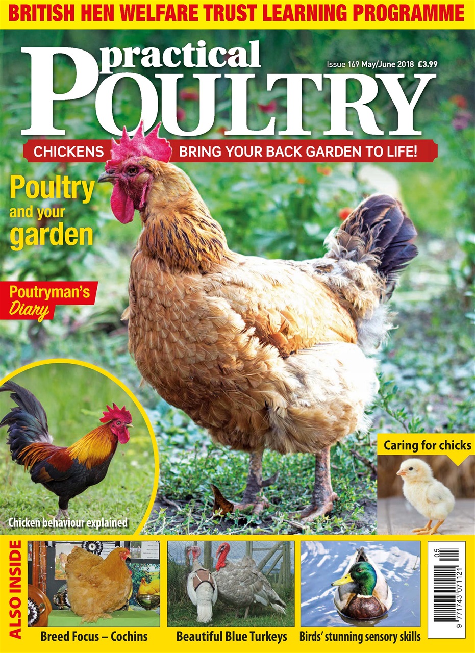 Practical Poultry Preview Pages