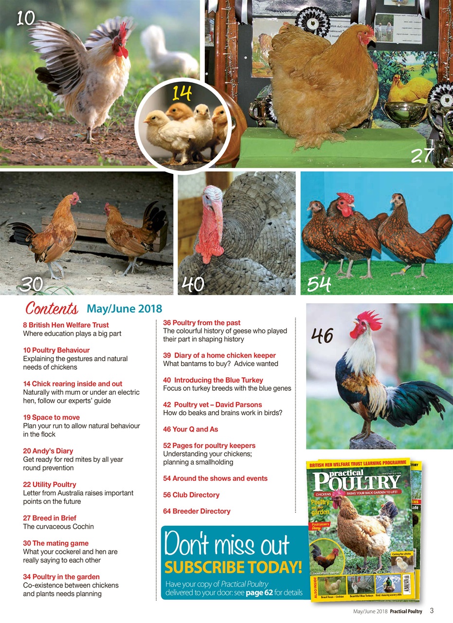 Practical Poultry Preview Pages