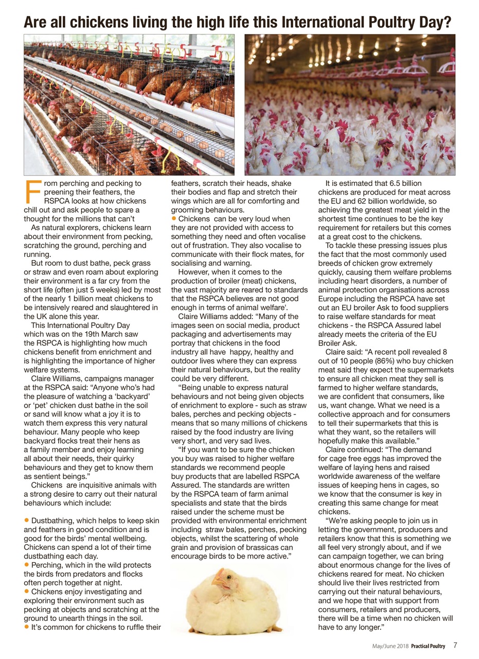 Practical Poultry Preview Pages