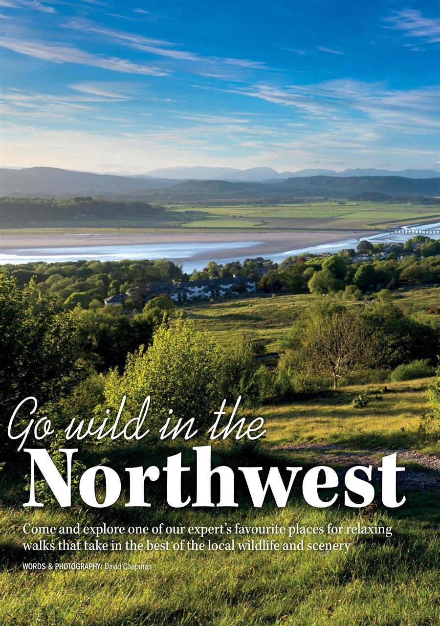 MMM magazine Preview Pages