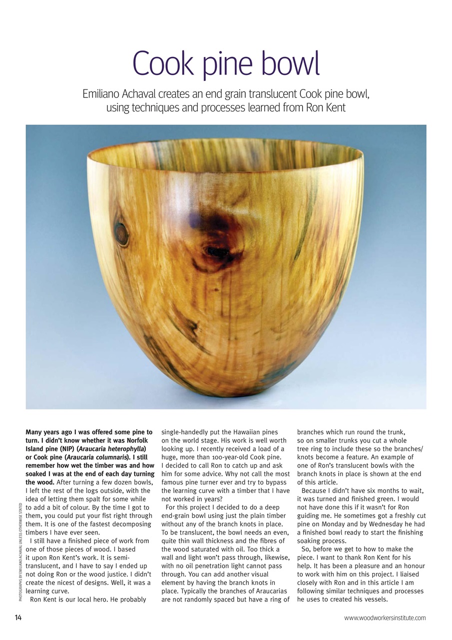 Woodturning Preview Pages