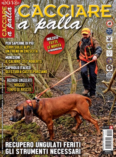 Caccia Magazine issue 