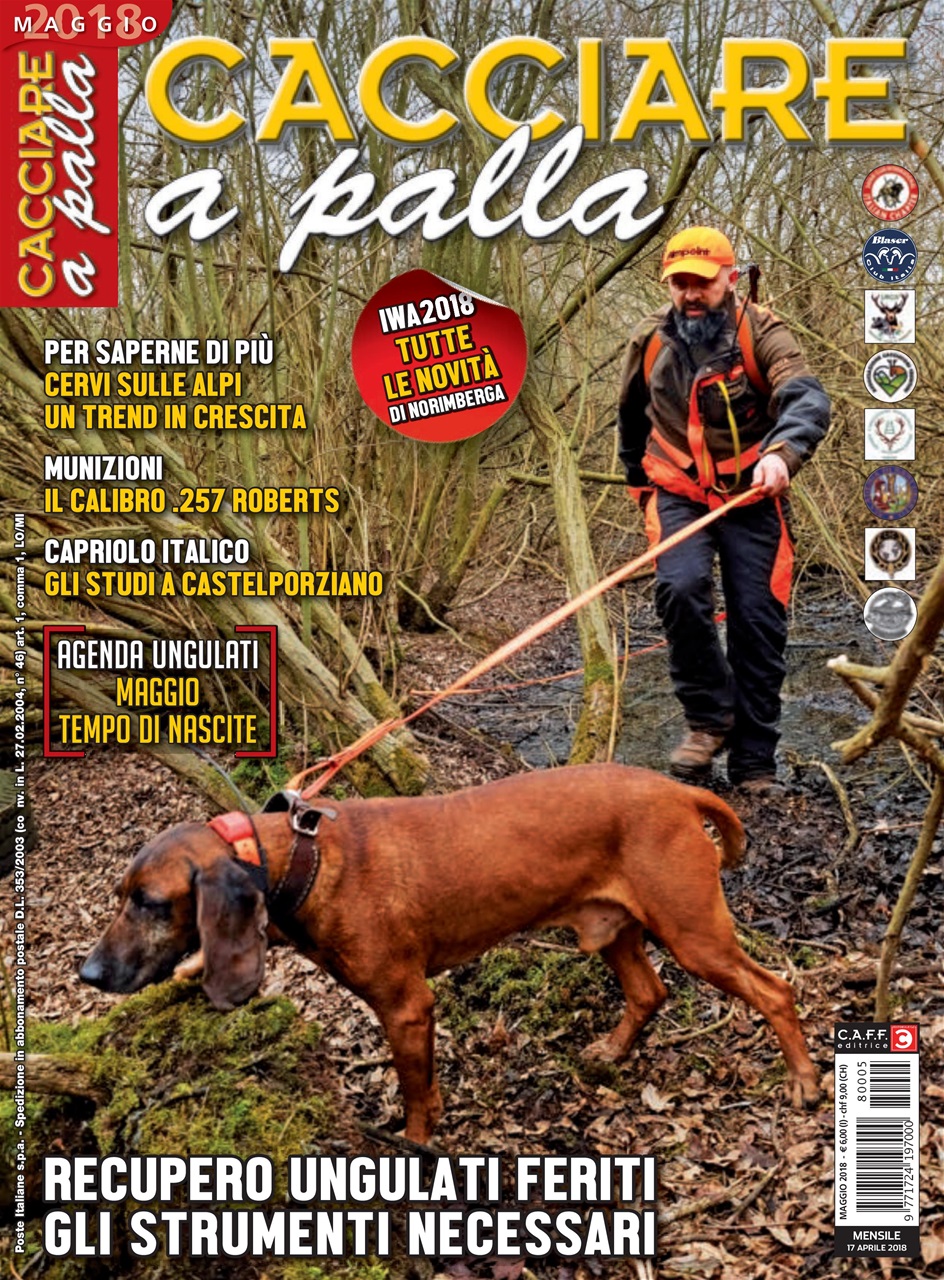 Caccia Magazine Preview Pages