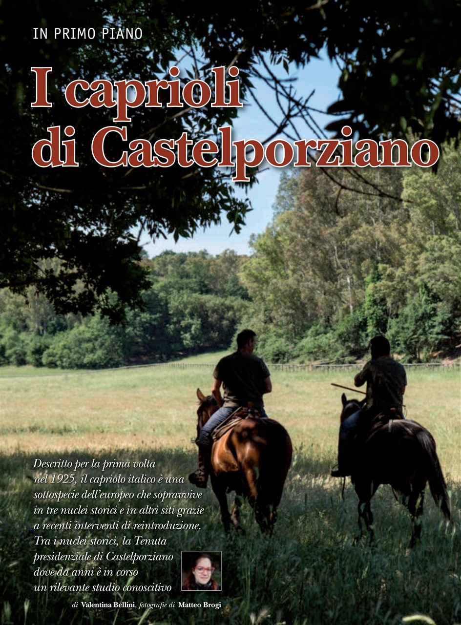 Caccia Magazine Preview Pages