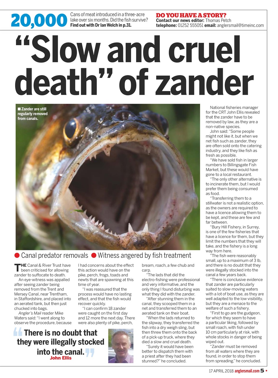 Anglers Mail Preview Pages