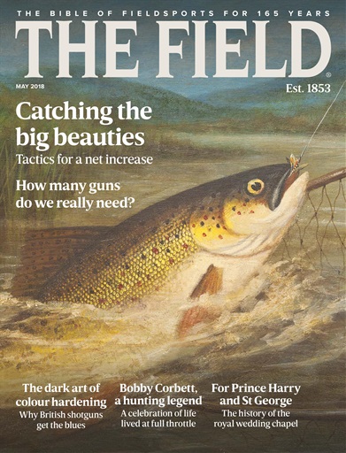 The Field issue 