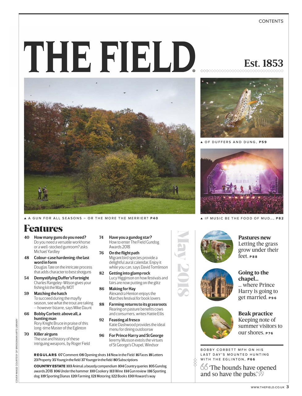The Field Preview Pages