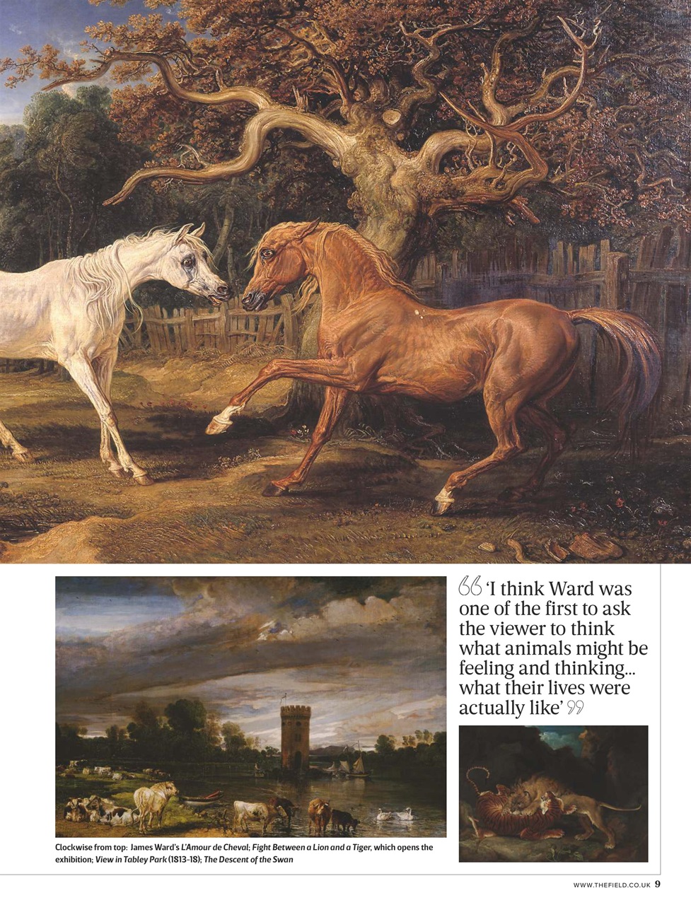 The Field Preview Pages