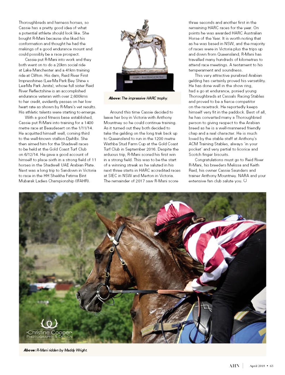 Australian Arabian Horse News Preview Pages