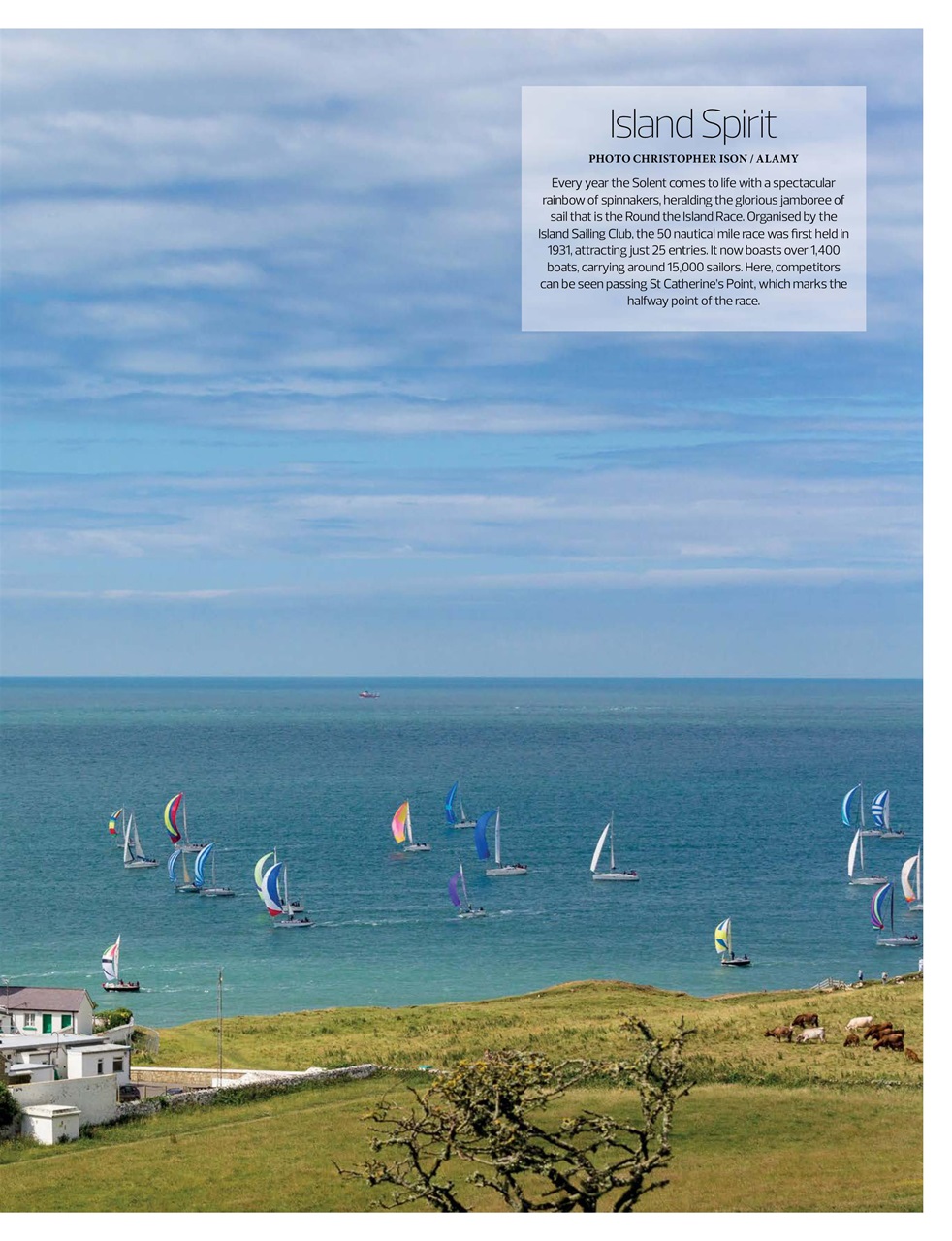 Sailing Today Preview Pages