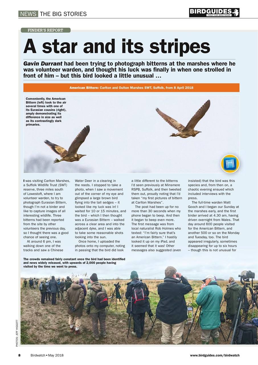 Birdwatch Magazine Preview Pages