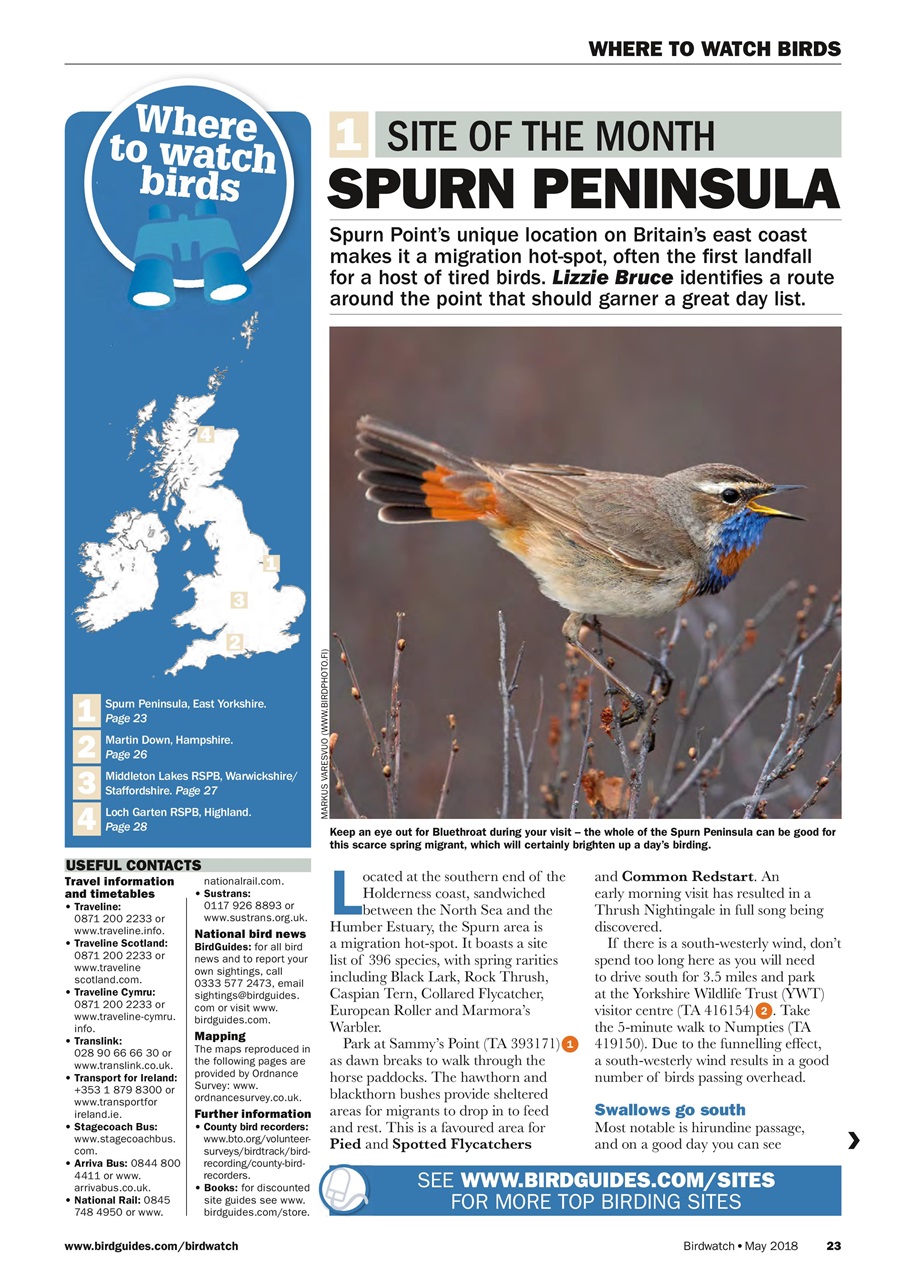 Birdwatch Magazine Preview Pages