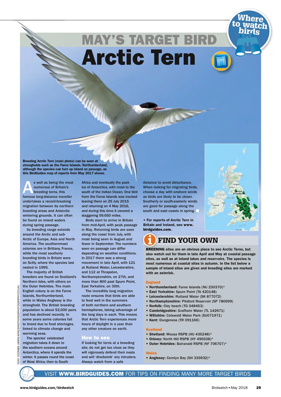Birdwatch Magazine Preview Pages