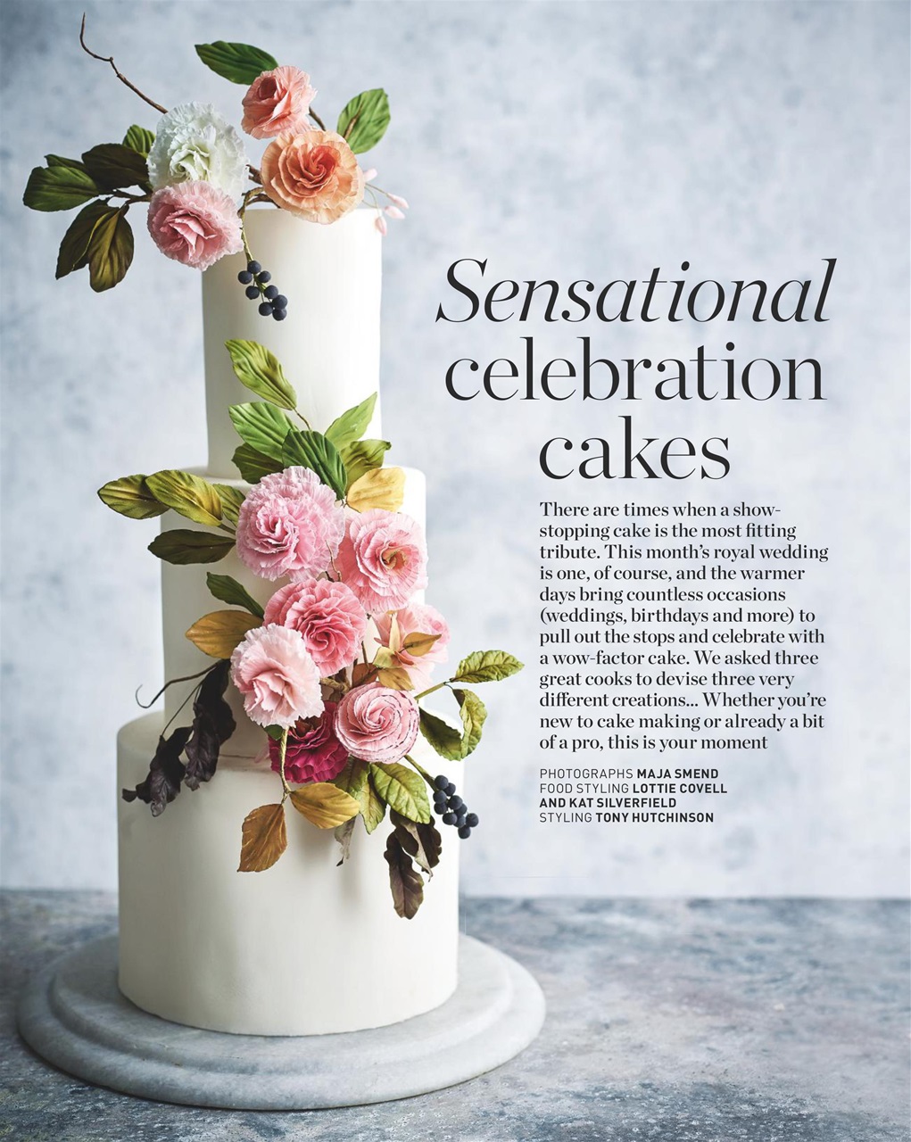 delicious. Magazine Preview Pages