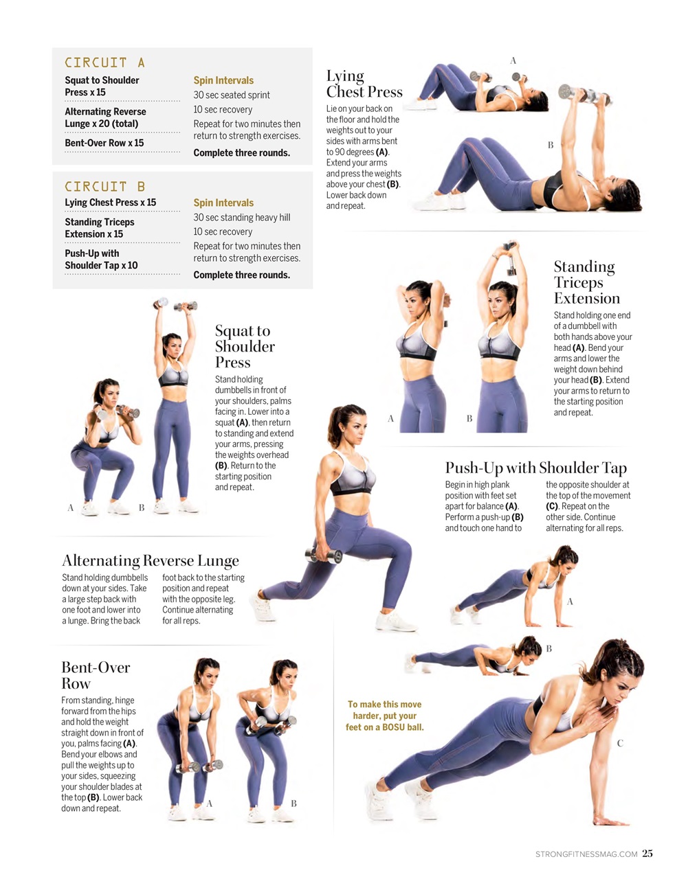 Strong Fitness Preview Pages