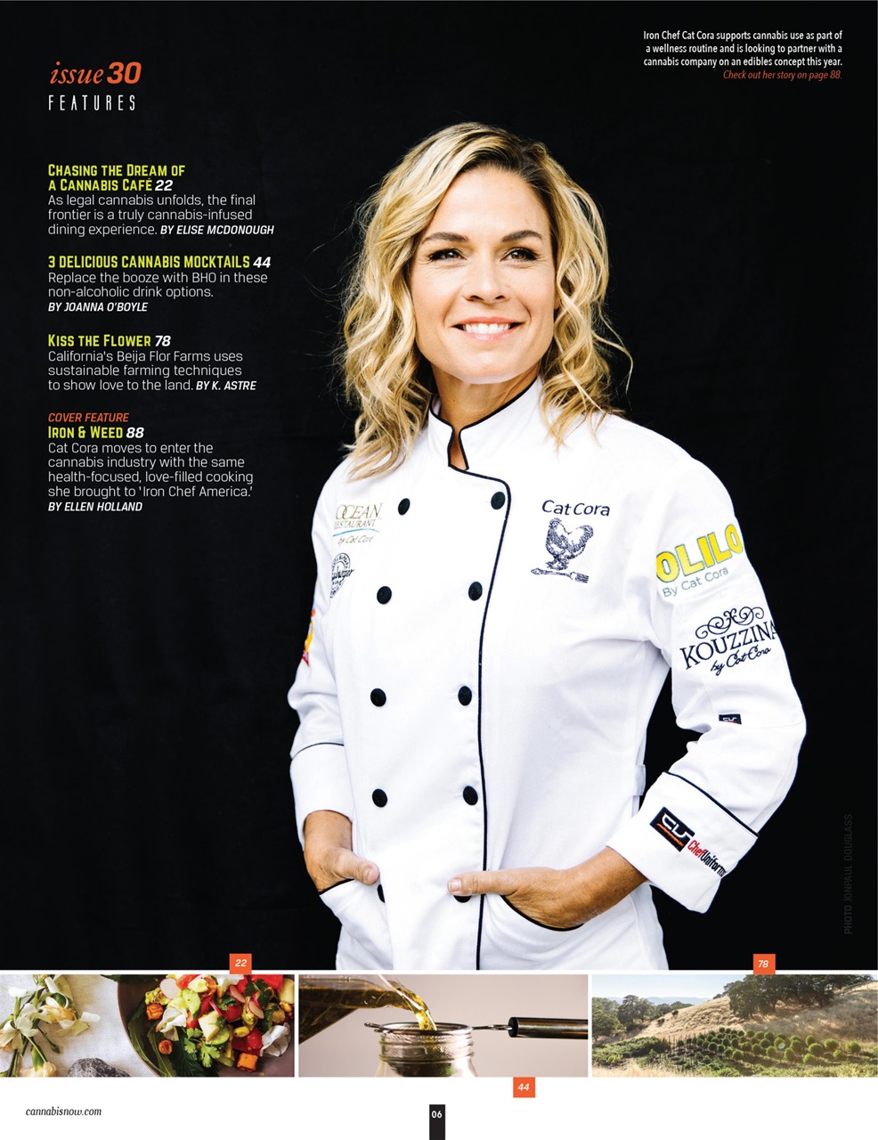 Cannabis Now Preview Pages