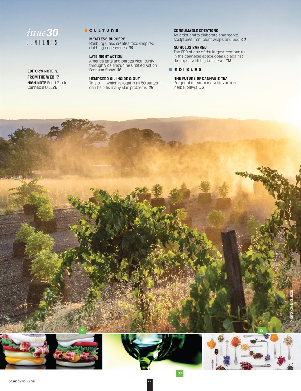 Cannabis Now Preview Pages