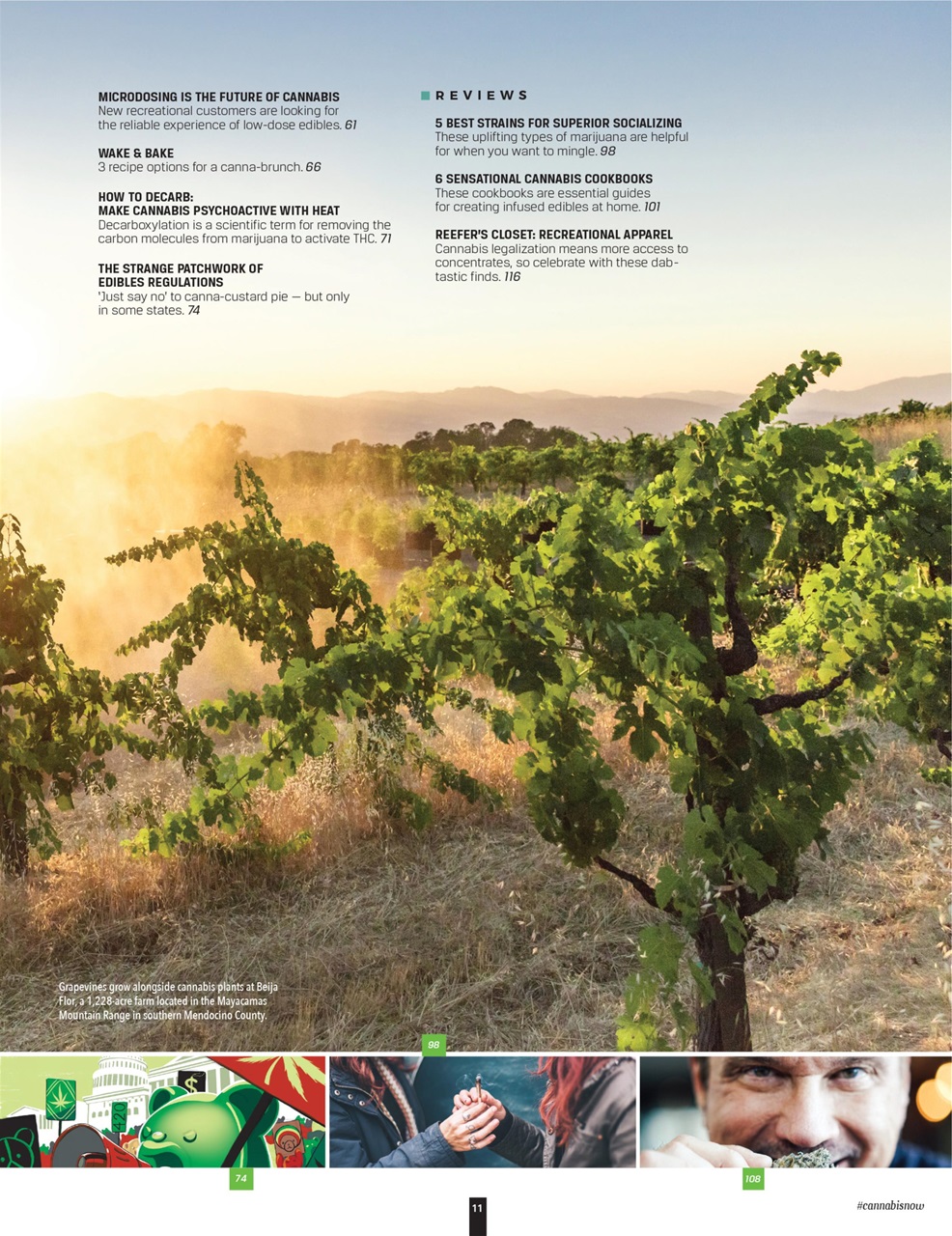 Cannabis Now Preview Pages