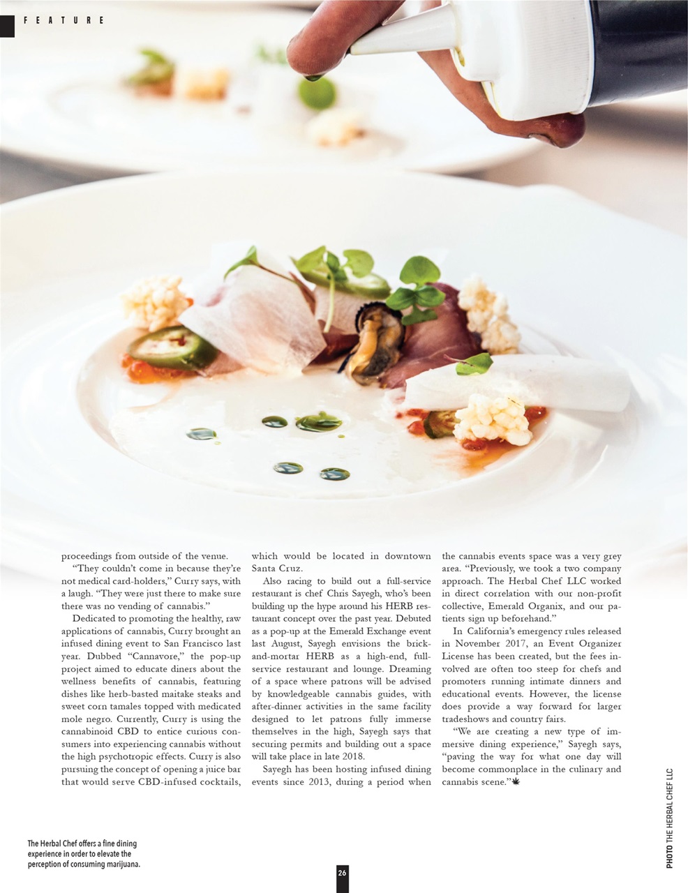 Cannabis Now Preview Pages