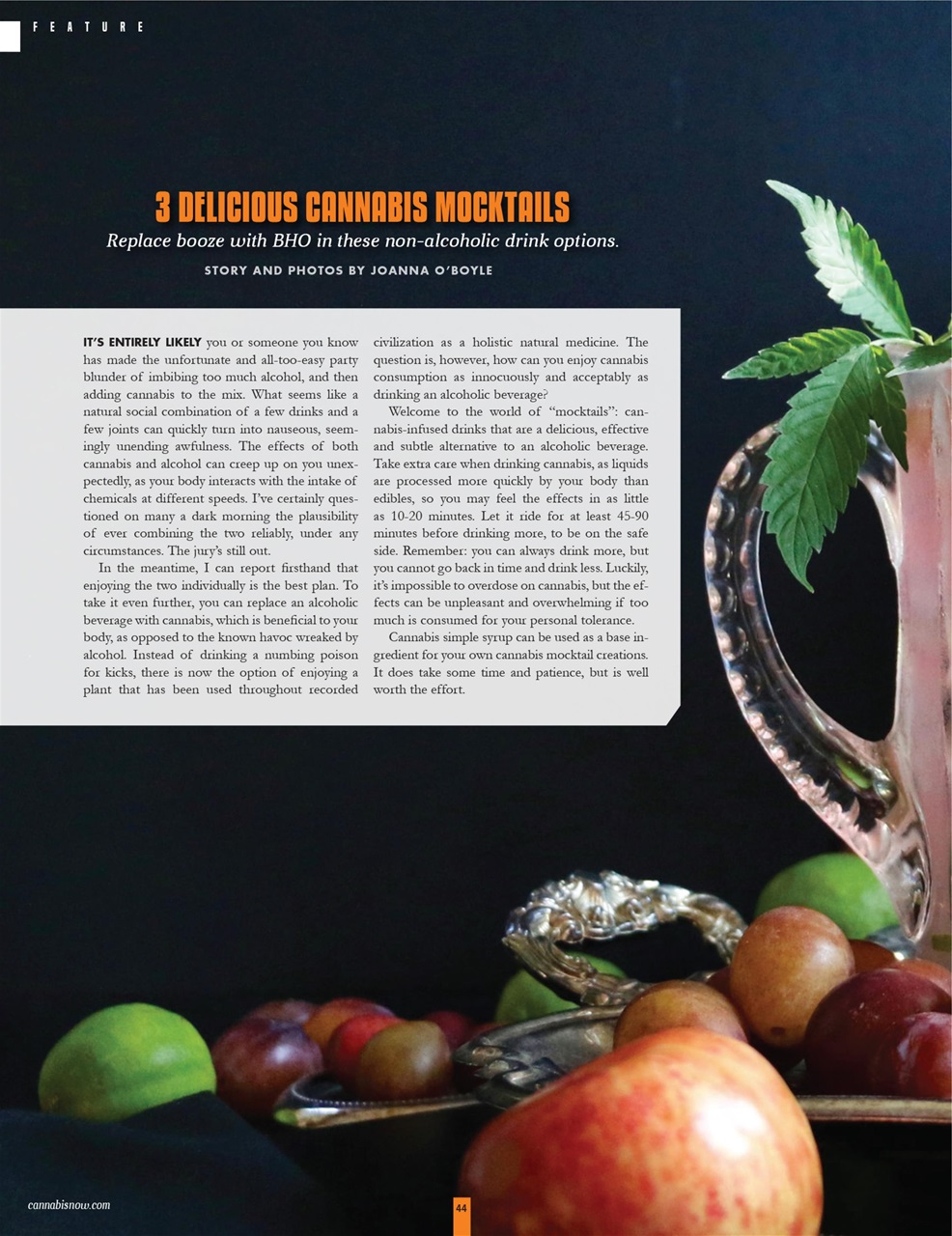 Cannabis Now Preview Pages