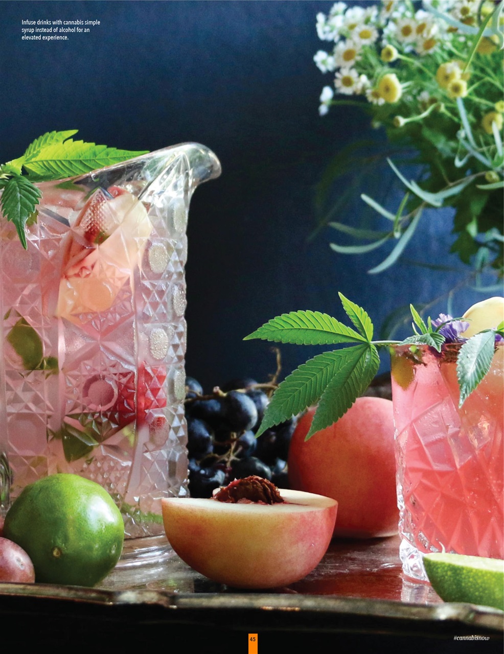 Cannabis Now Preview Pages