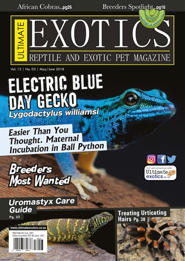 Ultimate Exotics issue 