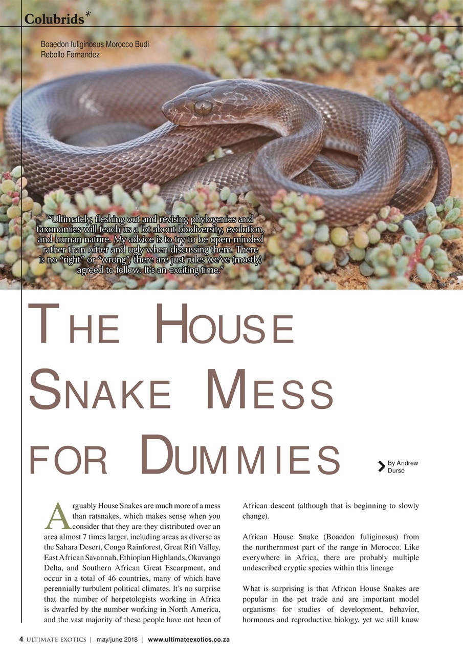 Ultimate Exotics Preview Pages