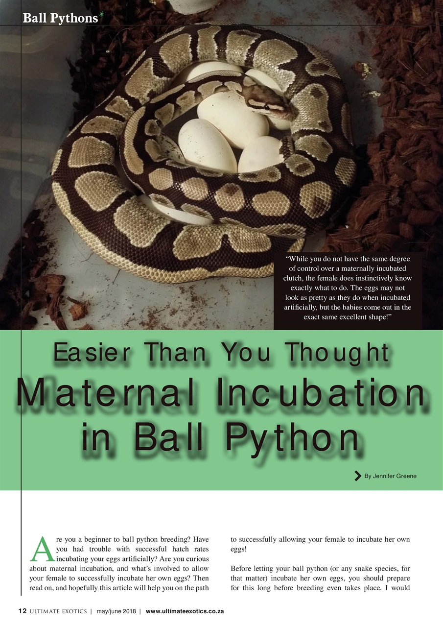 Ultimate Exotics Preview Pages