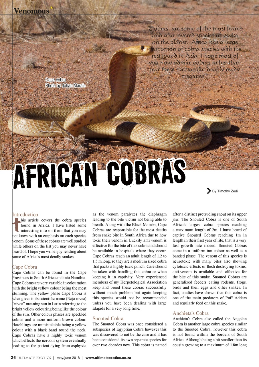 Ultimate Exotics Preview Pages