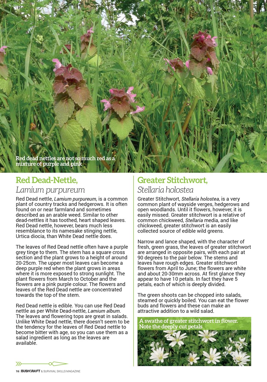 Bushcraft & Survival Skills Magazine Preview Pages