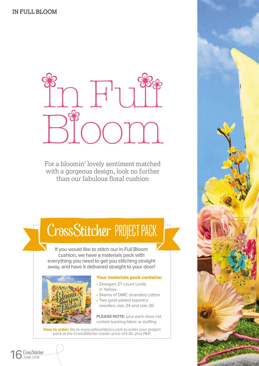 CrossStitcher Preview Pages