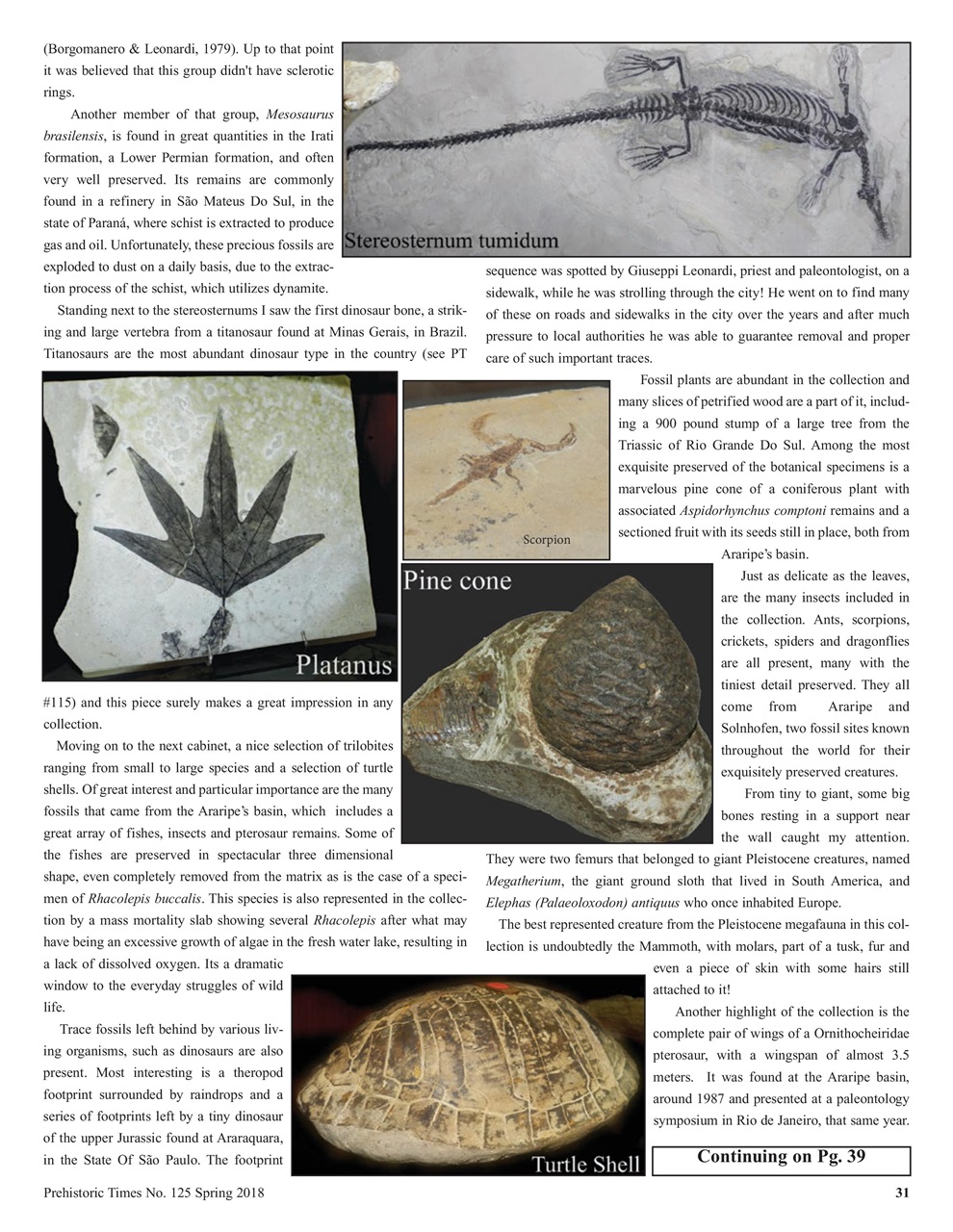 Prehistoric Times Preview Pages