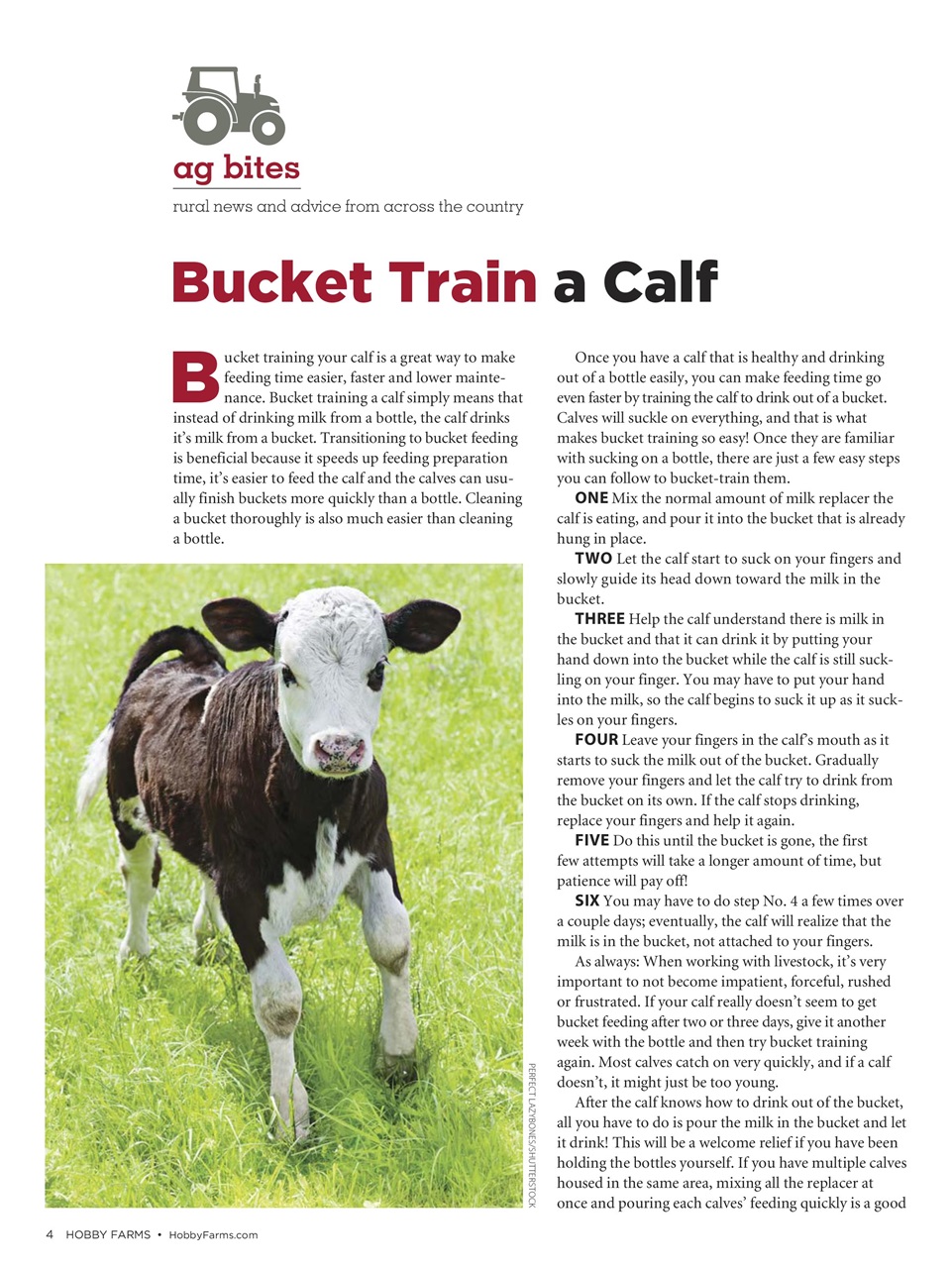 Hobby Farms Magazine Preview Pages