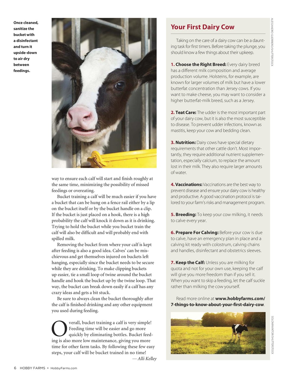 Hobby Farms Magazine Preview Pages