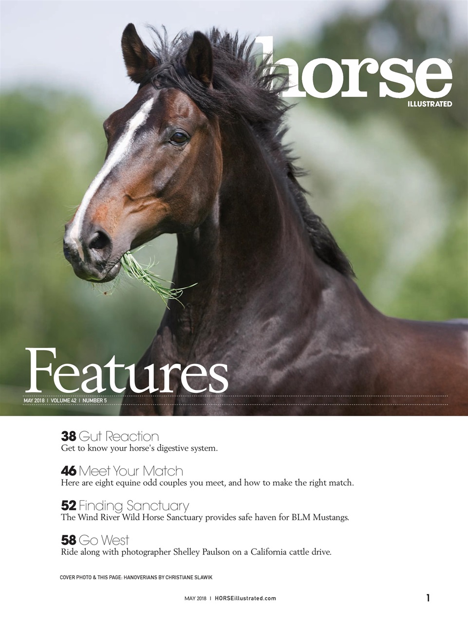 Horse Illustrated Magazine Preview Pages