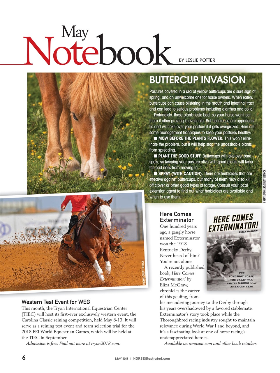Horse Illustrated Magazine Preview Pages