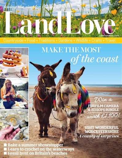 LandLove Magazine issue 
