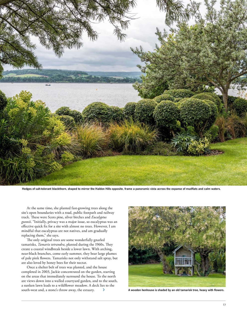 LandScape Preview Pages