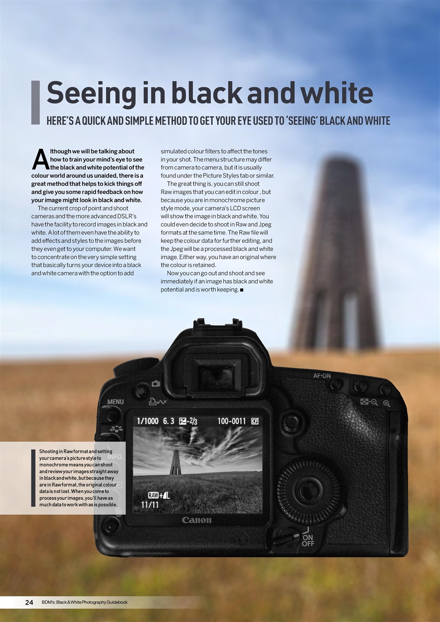 Digital Camera User Preview Pages