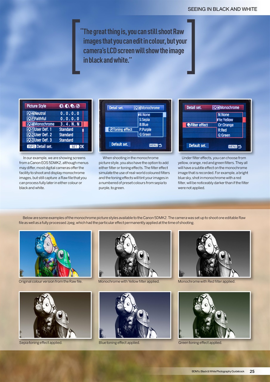 Digital Camera User Preview Pages