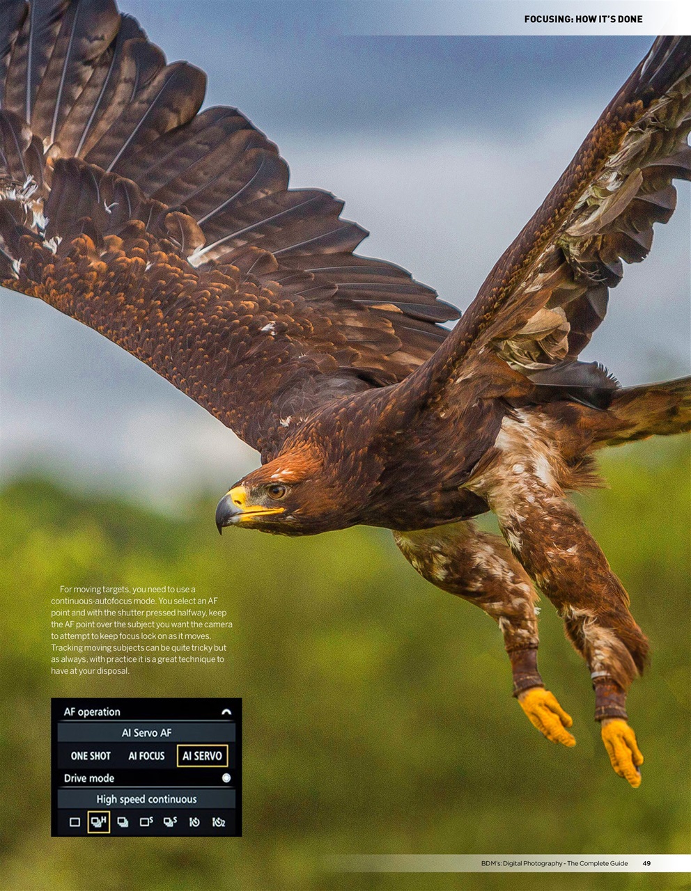 Digital Camera User Preview Pages