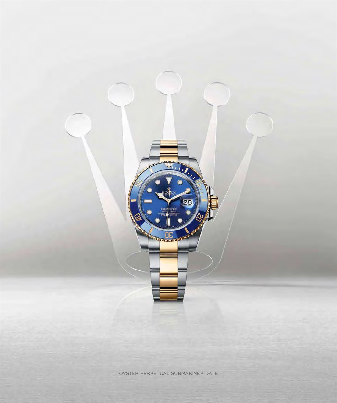 Avenue Calgary Preview Pages